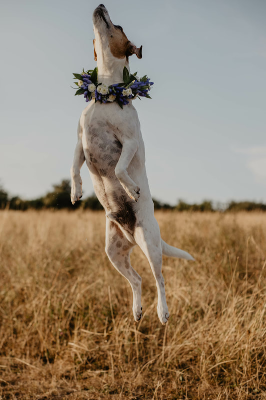 Holly Cade - UK Wedding and Portrait Photographer, based on the Isle of Wight.